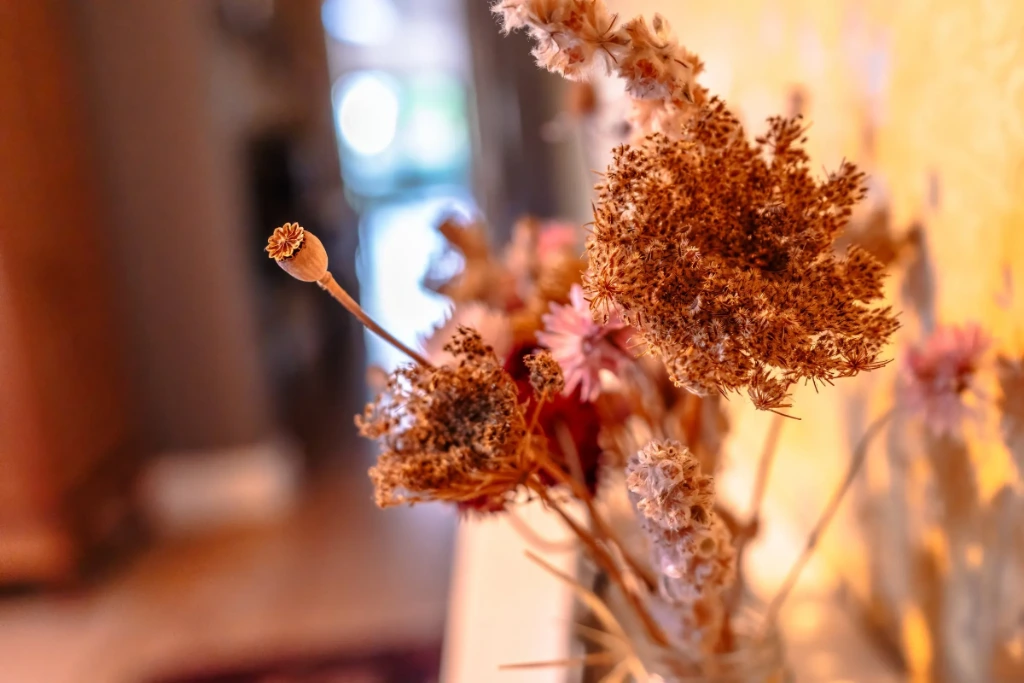 Flowers ready for a guest arrival